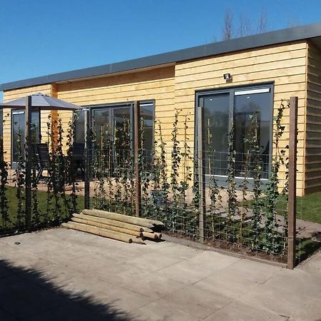 Dronrijp Luxe Vakantie Bungalow Met 3 Slaapkamers מראה חיצוני תמונה